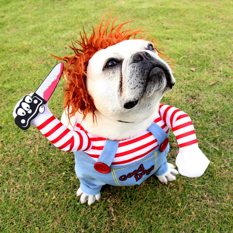 Trendy Chucky Dog Costume - Trendy Sassy Stylish