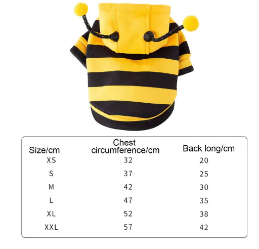 BuzzPaws Cozy Cat Bee Costume - Trendy Sassy Stylish