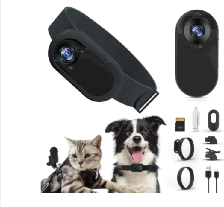 Paw Cam Wireless Pet Collar - Trendy Sassy Stylish