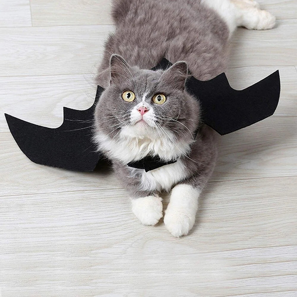 Halloween Cute Pet Clothes Black Bat - Trendy Sassy Stylish