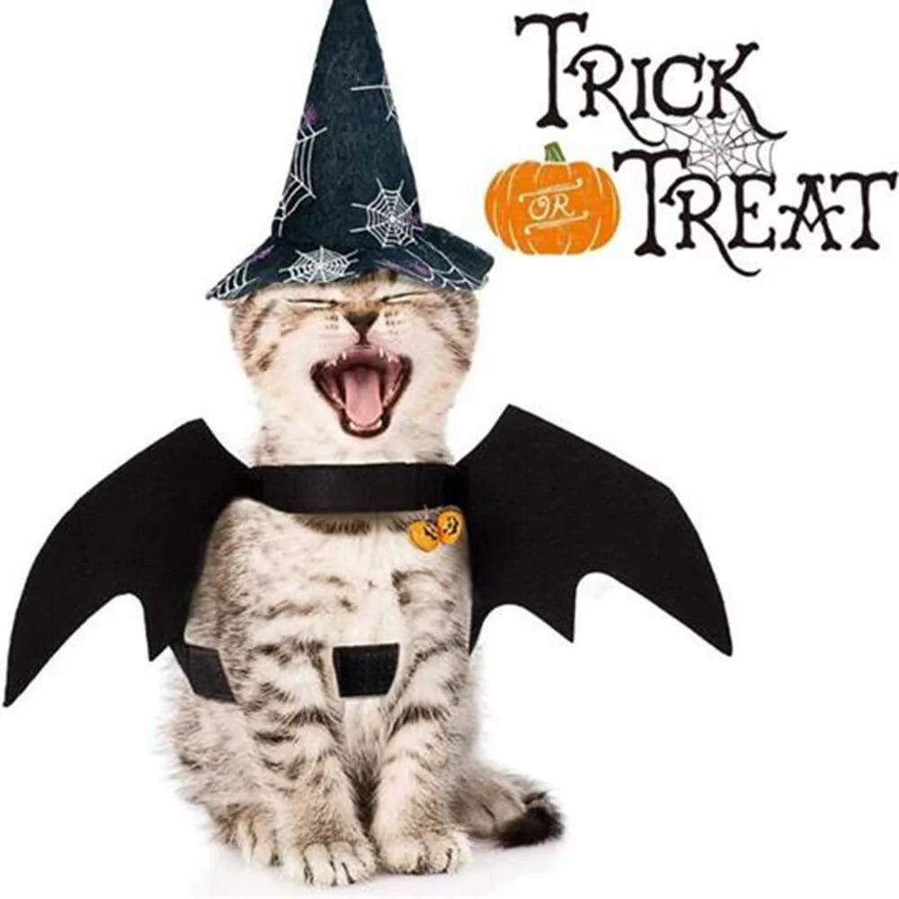 Halloween Cute Pet Clothes Black Bat - Trendy Sassy Stylish