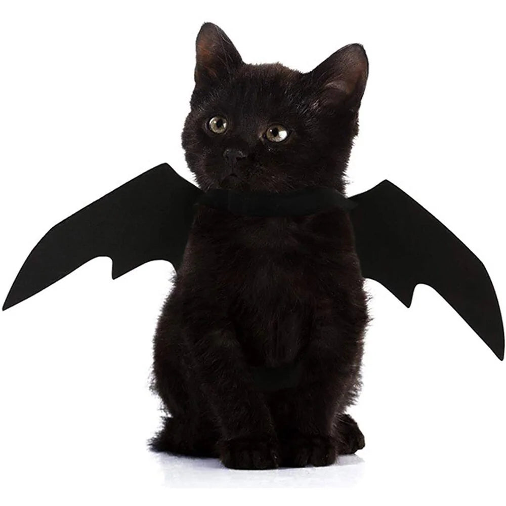 Halloween Cute Pet Clothes Black Bat - Trendy Sassy Stylish