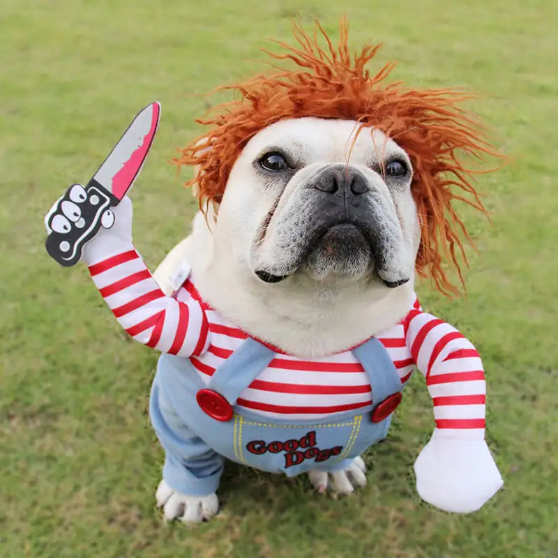 Trendy Chucky Dog Costume - Trendy Sassy Stylish