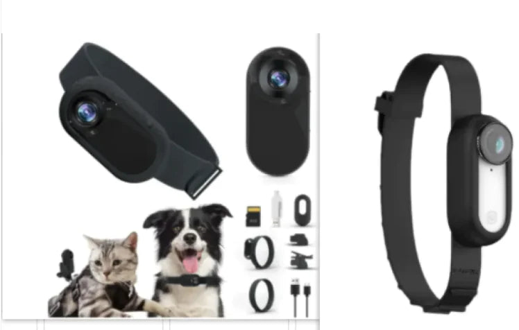 Paw Cam Wireless Pet Collar - Trendy Sassy Stylish