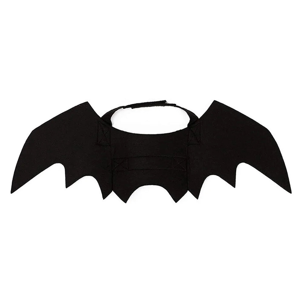 Halloween Cute Pet Clothes Black Bat - Trendy Sassy Stylish