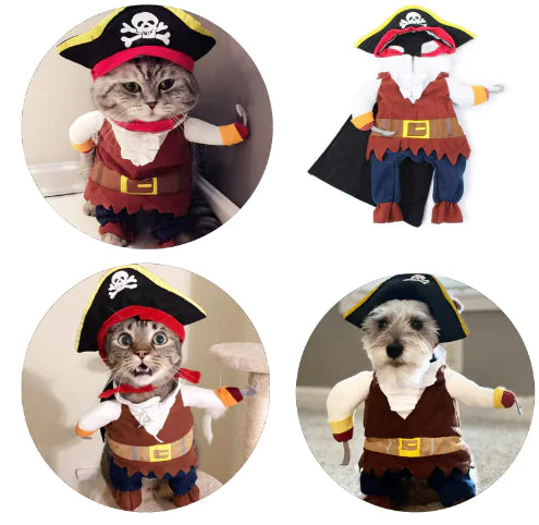 Pirate Costume For Small Medium Dogs Cats - Trendy Sassy Stylish