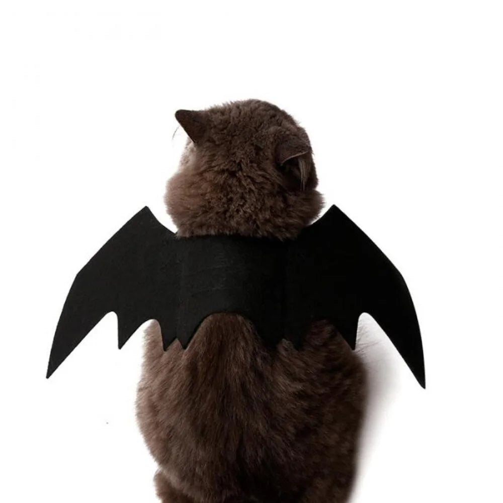 Halloween Cute Pet Clothes Black Bat - Trendy Sassy Stylish