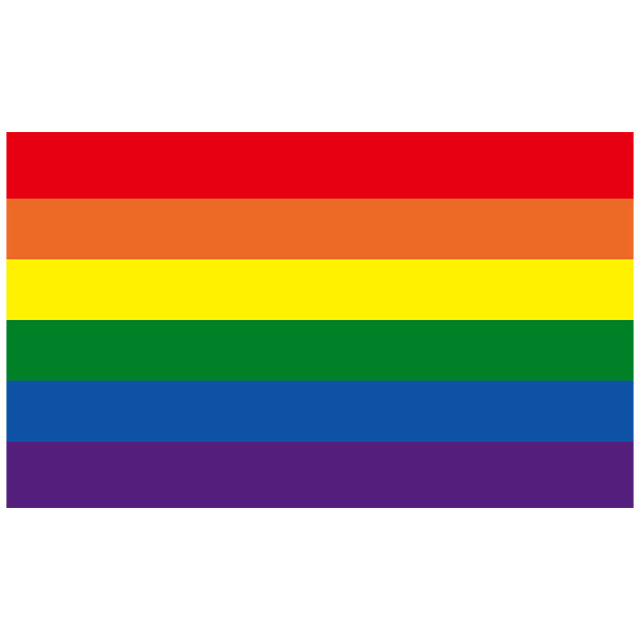 Rainbow Flag Banner - Trendy Sassy Stylish